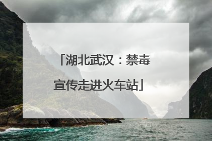 湖北武汉：禁毒宣传走进火车站