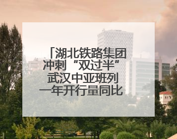 湖北铁路集团冲刺“双过半” 武汉中亚班列一年开行量同比增长72%