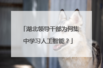 湖北领导干部为何集中学习人工智能？
