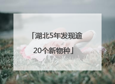湖北5年发现逾20个新物种