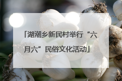 湖潮乡新民村举行“六月六”民俗文化活动