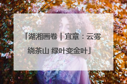 湖湘画卷｜宜章：云雾绕茶山 绿叶变金叶