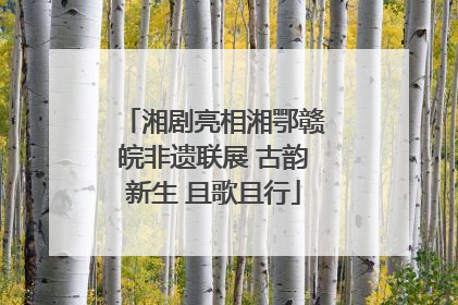 湘剧亮相湘鄂赣皖非遗联展 古韵新生 且歌且行
