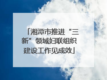 湘潭市推进“三新”领域妇联组织建设工作见成效