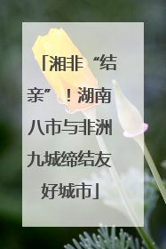 湘非“结亲”！湖南八市与非洲九城缔结友好城市