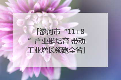 漯河市“11+8”产业链培育 带动工业增长领跑全省