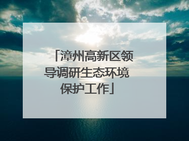 漳州高新区领导调研生态环境保护工作