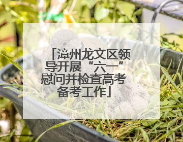 漳州龙文区领导开展“六一”慰问并检查高考备考工作