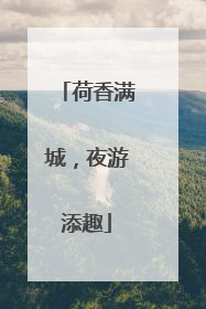 荷香满城，夜游添趣
