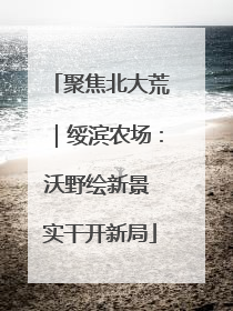 聚焦北大荒｜绥滨农场：沃野绘新景 实干开新局