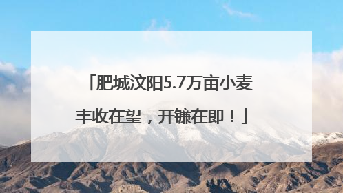肥城汶阳5.7万亩小麦丰收在望，开镰在即！
