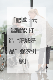 肥城：云端赋能 打造“肥城好品”强农引擎