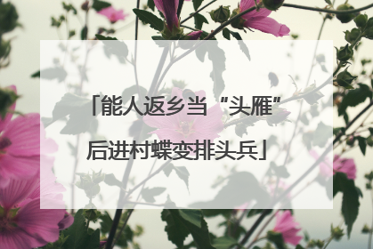 能人返乡当“头雁” 后进村蝶变排头兵