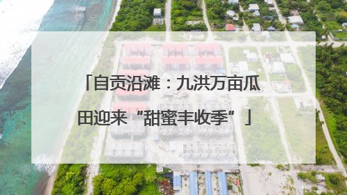 自贡沿滩：九洪万亩瓜田迎来“甜蜜丰收季”