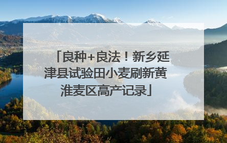 良种+良法！新乡延津县试验田小麦刷新黄淮麦区高产记录