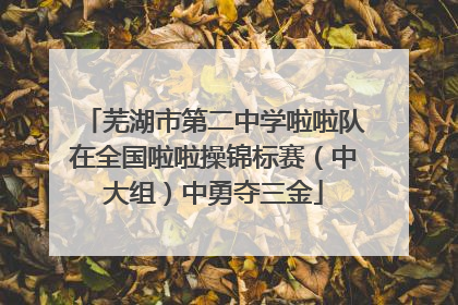 芜湖市第二中学啦啦队在全国啦啦操锦标赛（中大组）中勇夺三金