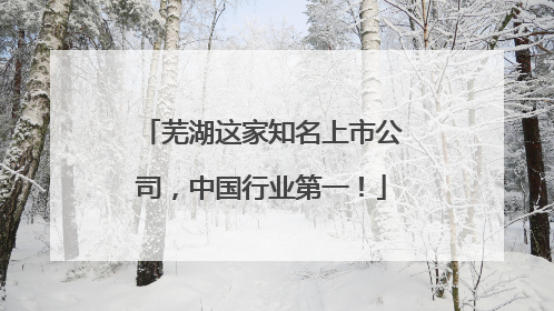 芜湖这家知名上市公司，中国行业第一！