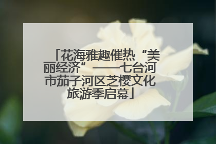 花海雅趣催热“美丽经济”——七台河市茄子河区芝樱文化旅游季启幕