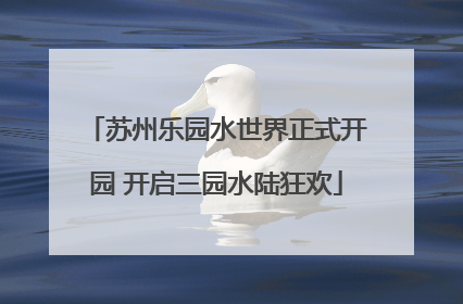 苏州乐园水世界正式开园 开启三园水陆狂欢