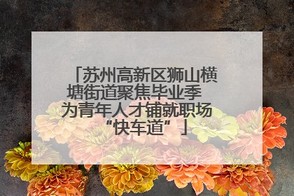 苏州高新区狮山横塘街道聚焦毕业季 为青年人才铺就职场“快车道”