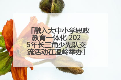 融入大中小学思政教育一体化 2025年长三角少先队交流活动在温岭举办
