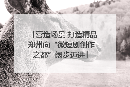 营造场景 打造精品 郑州向“微短剧创作之都”阔步迈进