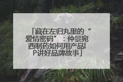 藏在左归丸里的“爱情密码”：仲景宛西制药如何用产品IP讲好品牌故事