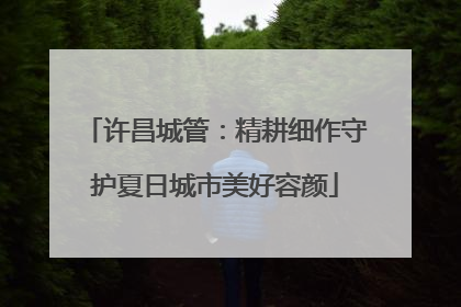 许昌城管：精耕细作守护夏日城市美好容颜