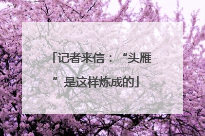 记者来信：“头雁”是这样炼成的