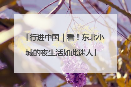 行进中国｜看！东北小城的夜生活如此迷人