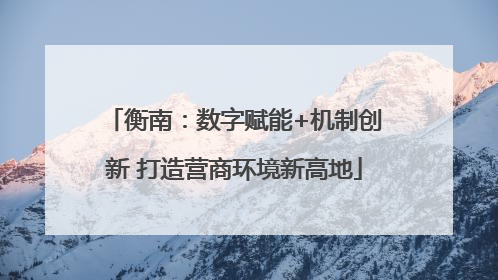 衡南：数字赋能+机制创新 打造营商环境新高地