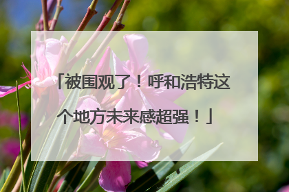 被围观了！呼和浩特这个地方未来感超强！