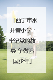 西宁市水井巷小学：牢记党的教导 争做强国少年