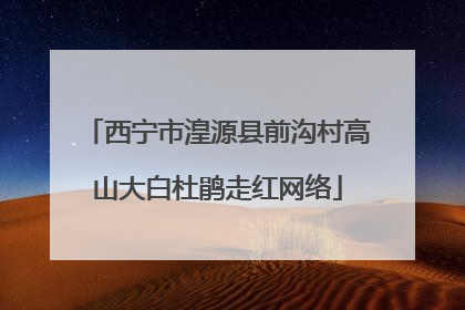 西宁市湟源县前沟村高山大白杜鹃走红网络