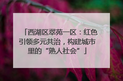 西湖区翠苑一区：红色引领多元共治，构建城市里的“熟人社会”