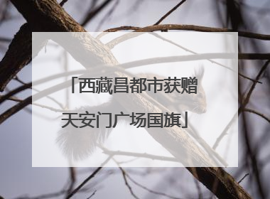 西藏昌都市获赠天安门广场国旗
