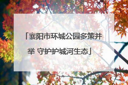 襄阳市环城公园多策并举 守护护城河生态