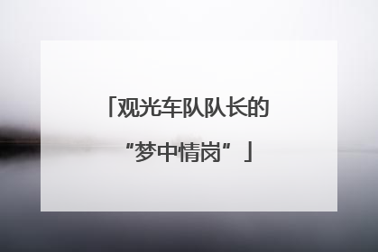 观光车队队长的“梦中情岗”