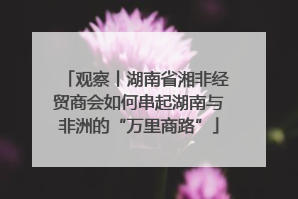观察丨湖南省湘非经贸商会如何串起湖南与非洲的“万里商路”