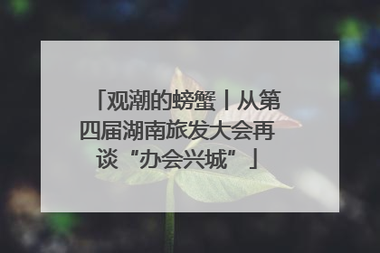 观潮的螃蟹丨从第四届湖南旅发大会再谈“办会兴城”