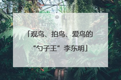 观鸟、拍鸟、爱鸟的“勺子王”李东明