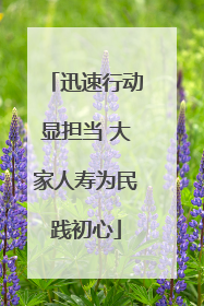 迅速行动显担当 大家人寿为民践初心