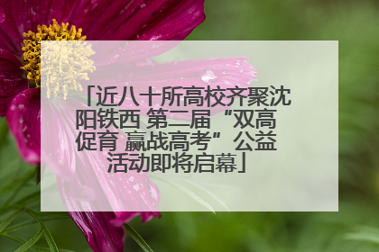 近八十所高校齐聚沈阳铁西 第二届“双高促育 赢战高考”公益活动即将启幕