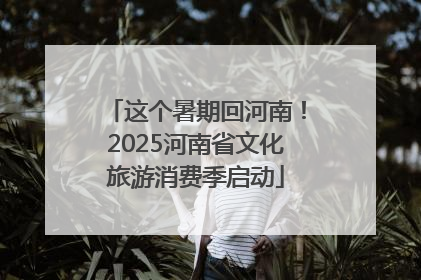 这个暑期回河南！2025河南省文化旅游消费季启动
