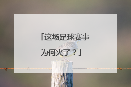 这场足球赛事为何火了？