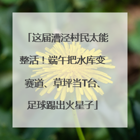 这届漕泾村民太能整活！端午把水库变赛道、草坪当T台、足球踢出火星子