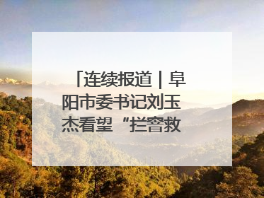 连续报道｜阜阳市委书记刘玉杰看望“拦窨救人”英勇团队