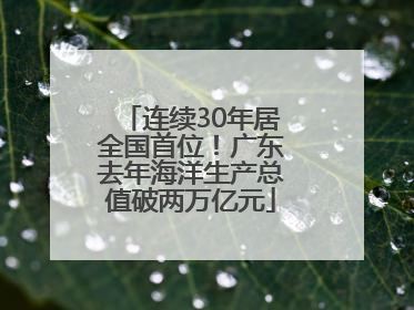 连续30年居全国首位！广东去年海洋生产总值破两万亿元