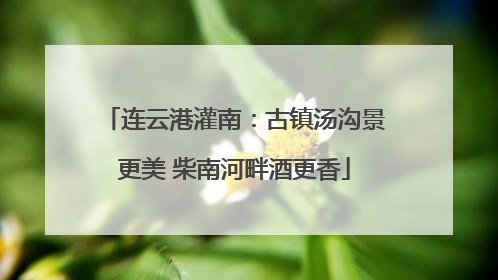 连云港灌南：古镇汤沟景更美 柴南河畔酒更香