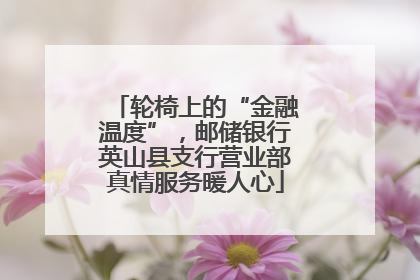 轮椅上的“金融温度”，邮储银行英山县支行营业部真情服务暖人心